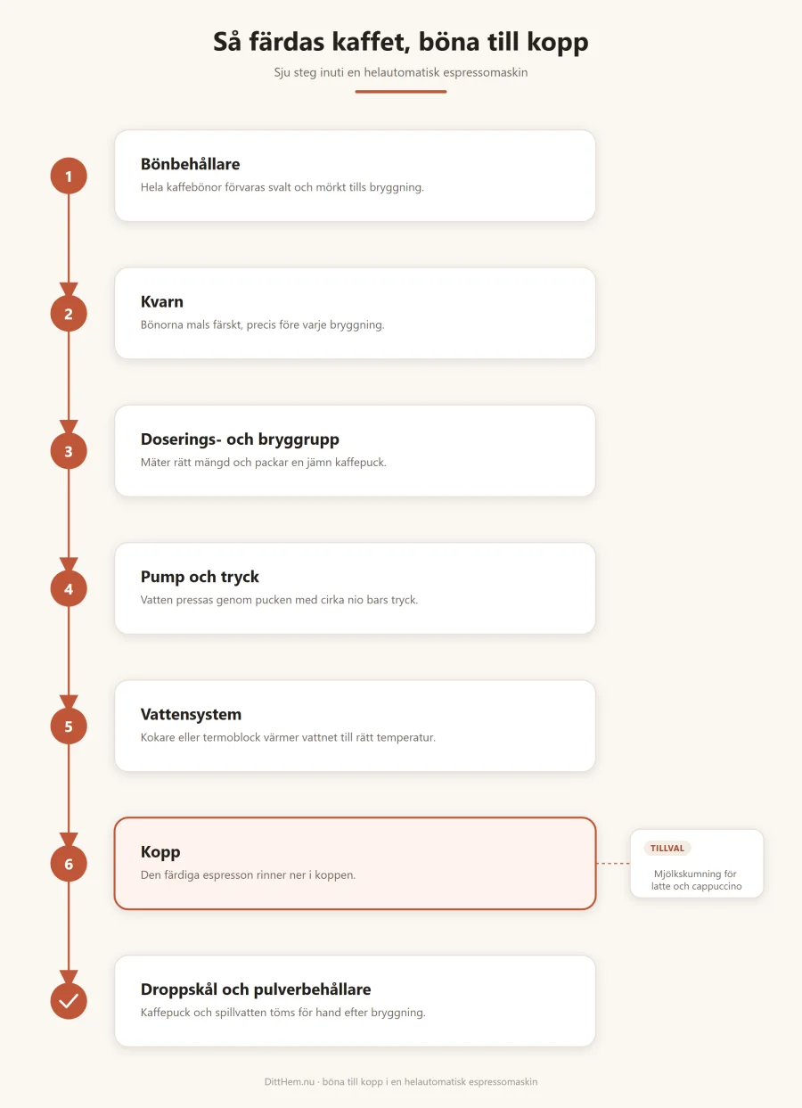 Flödesschema över hur kaffet färdas från bönbehållare via kvarn och bryggrupp till kopp i en helautomatisk espressomaskin