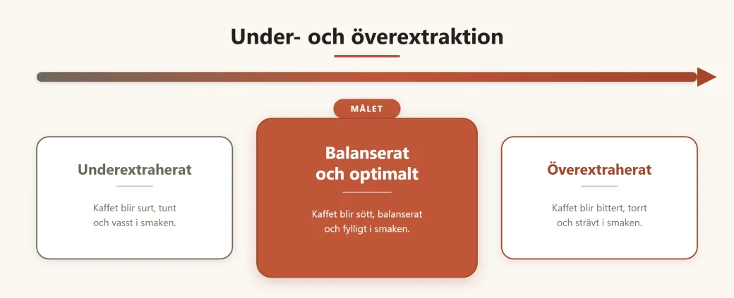 Skala från underextraktion via balanserad extraktion till överextraktion, med smakord under varje zon