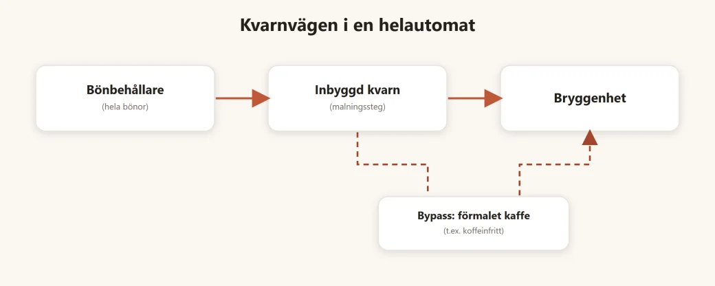 Flöde: hela bönor från bönbehållaren till den inbyggda kvarnen och vidare till bryggenheten, med en bypass för förmalet kaffe