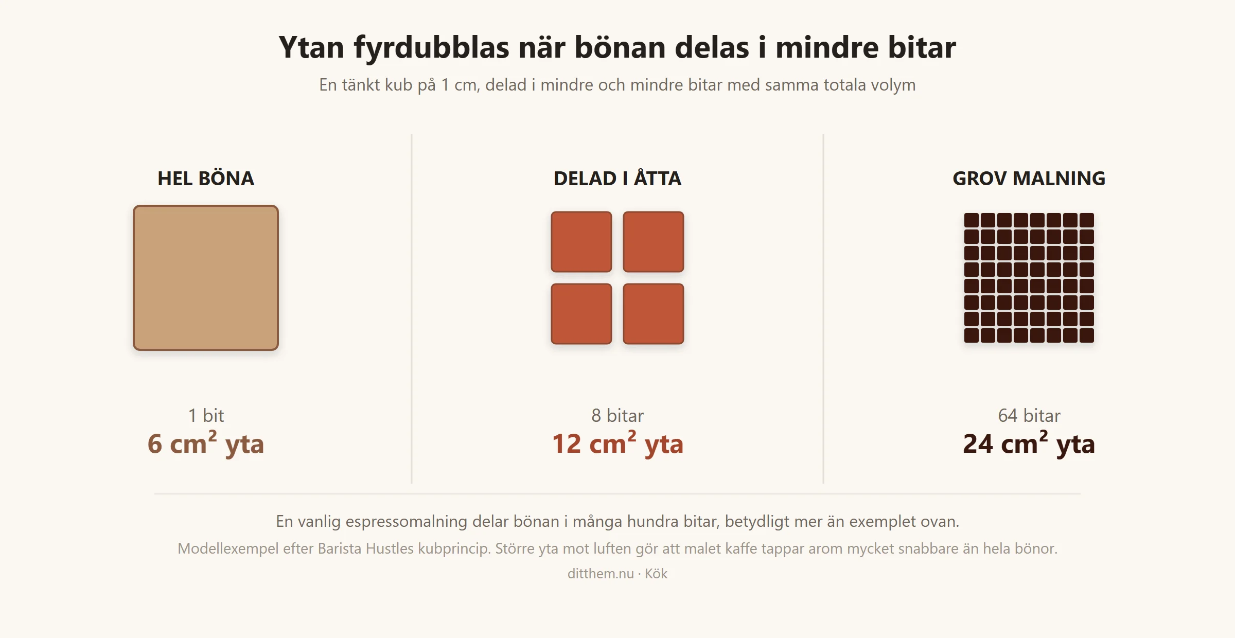 En tänkt kaffekub på 1 centimeter med 6 kvadratcentimeter yta som en bit, delad i åtta bitar med 12 kvadratcentimeter yta, och grovmalen till 64 bitar med 24 kvadratcentimeter yta